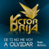 De Ti No Me Voy a Olvidar (feat. Britsio) - Single